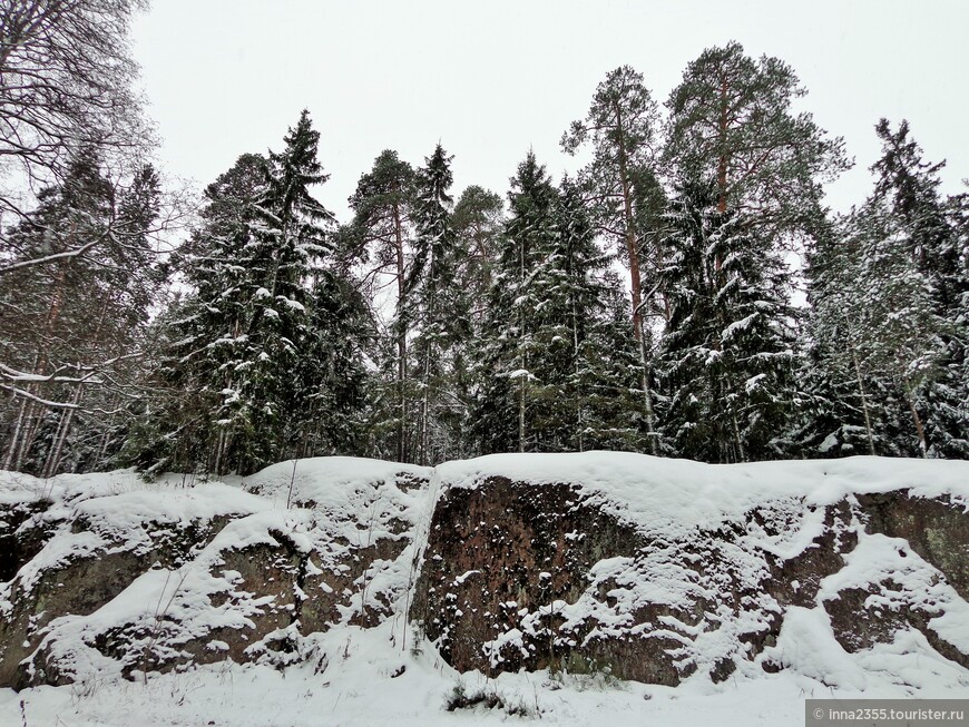 Город, где на камнях растут деревья