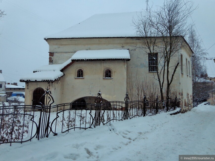 Город, где на камнях растут деревья