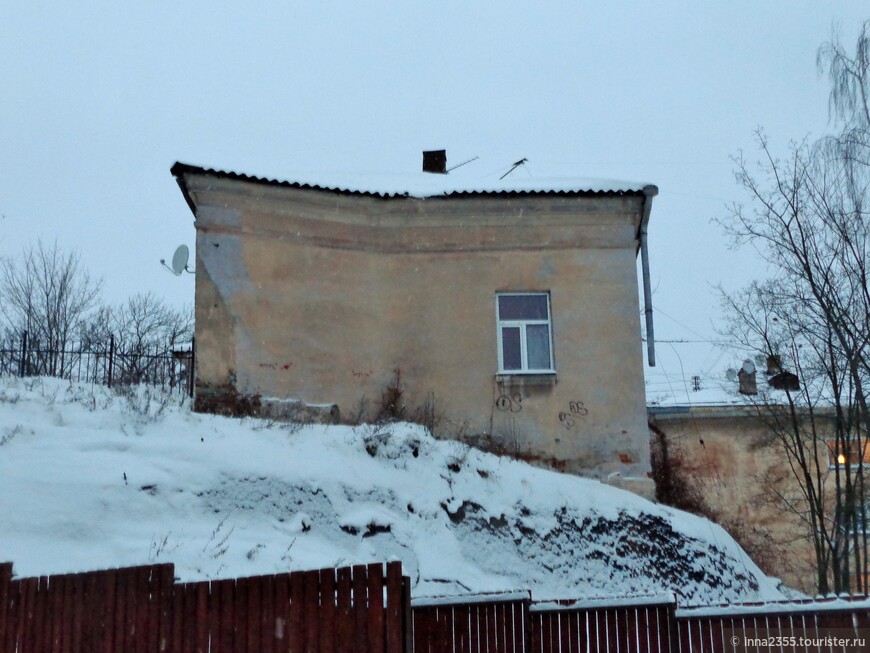 Город, где на камнях растут деревья