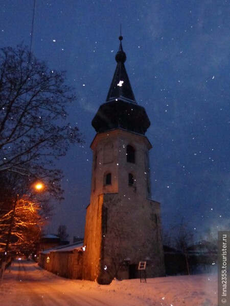 Город, где на камнях растут деревья