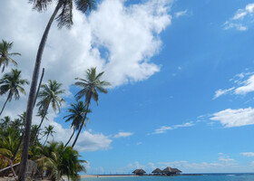 Доминикана.Пляжный отдых в Хуан-Долио.
