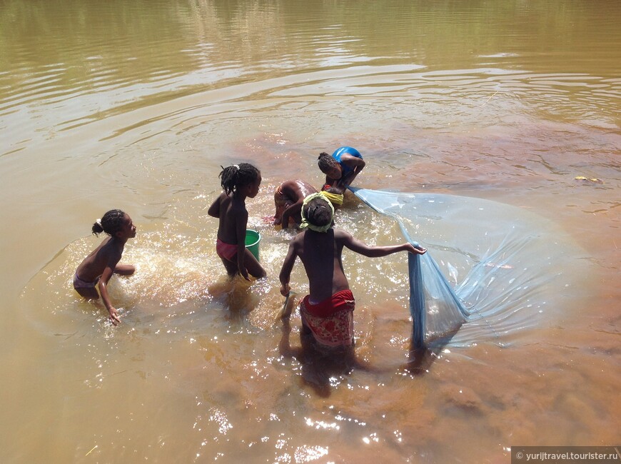 Мадагаскар. Начало сплава по реке Цирибихина