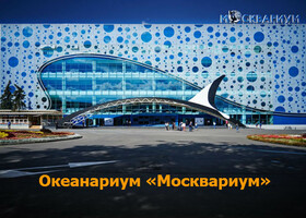 Москва - Океанариум «Москвариум»