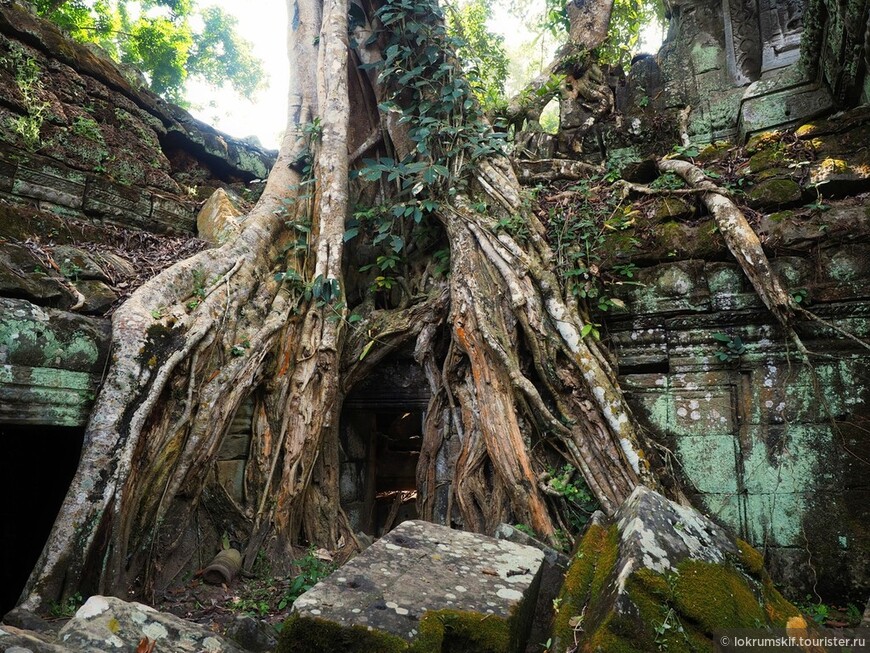 Самостоятельное путешествие в Азию. Часть 6. Камбоджа. Ангкор Том