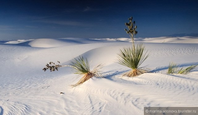 Пустыня белых песков, Нью-Мексико
