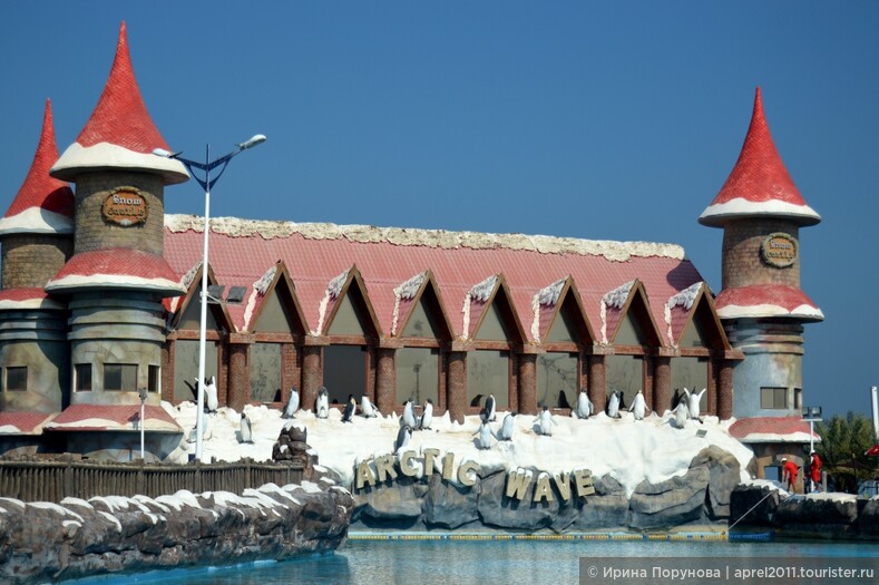 Рас-аль-Хайма, аквапарк