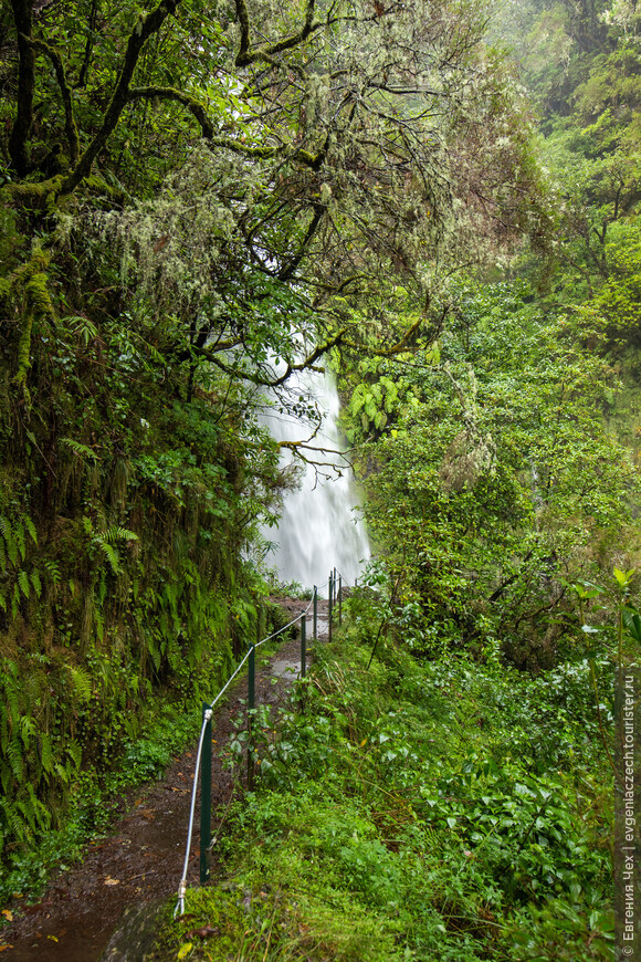 Мадейра. Два трейла, 10 водопадов, 4 тоннеля и разноцветные домики