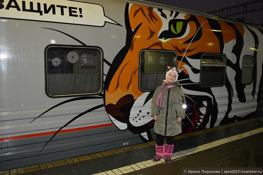 У поезда на Ярославском вокзале, январь, дождь... Вагон, посвященный теме защиты амурских тигров.