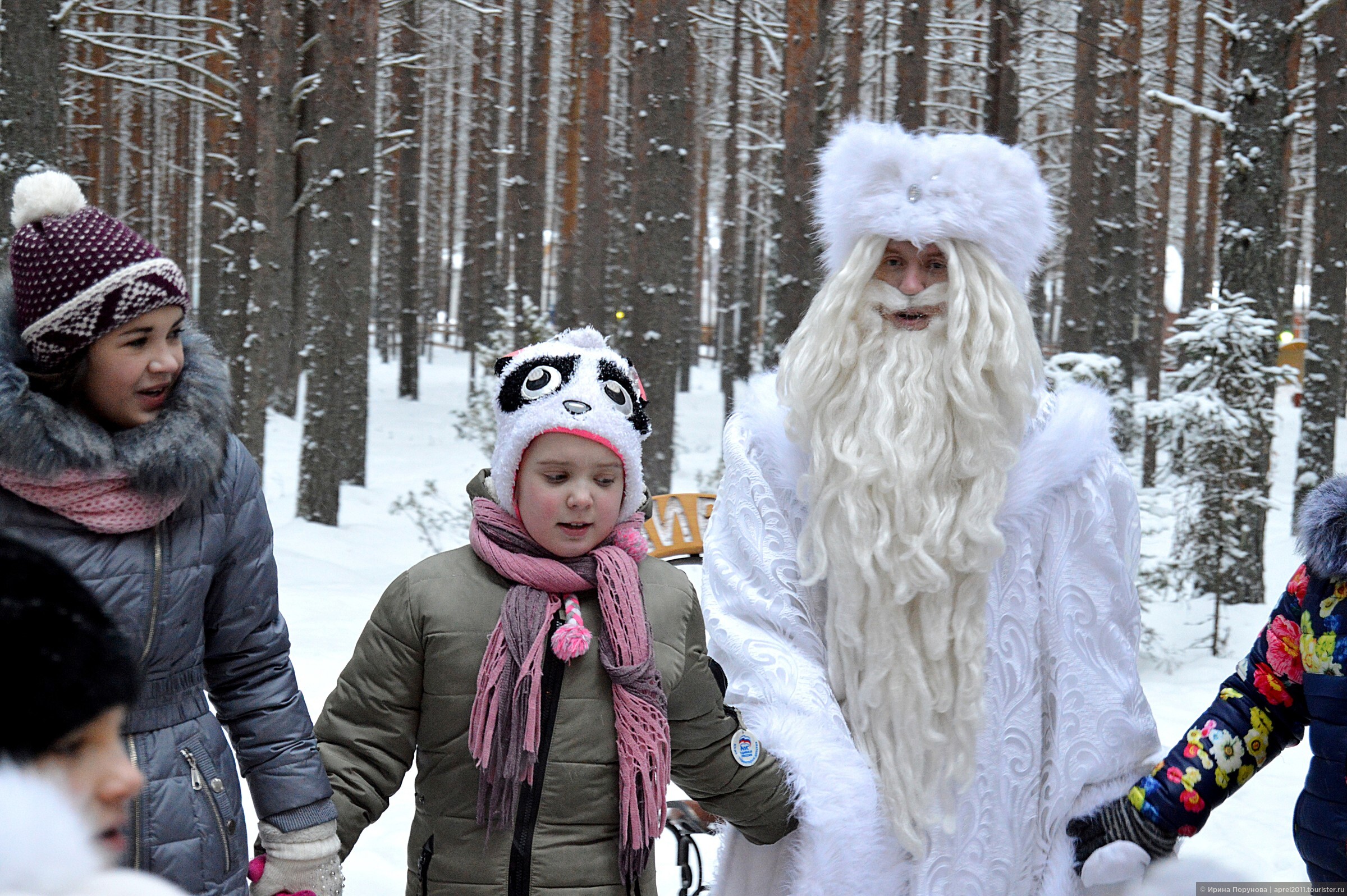 Лучшая зимняя резина 2016 года