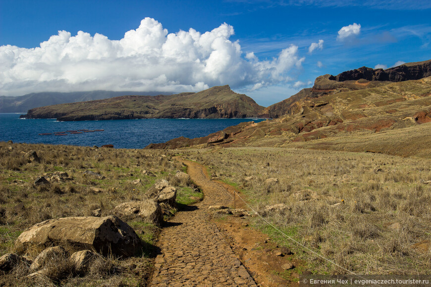 Мадейра. Остров — вулкан