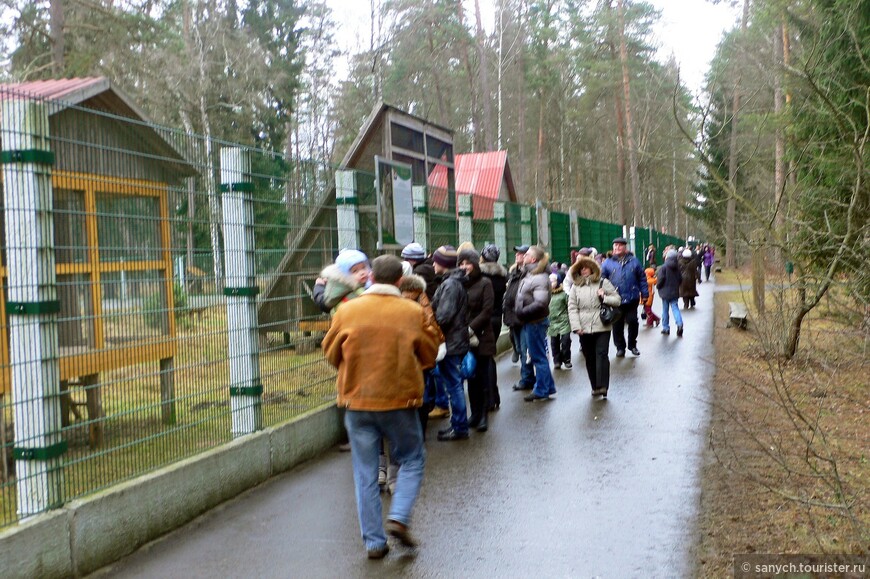 Путешествие по Белоруссии. Москва — Минск — Каменюки.