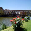 Старый мост Понте Веккьо. Обзорная экскурсия по Флоренции с лицензированным гидом