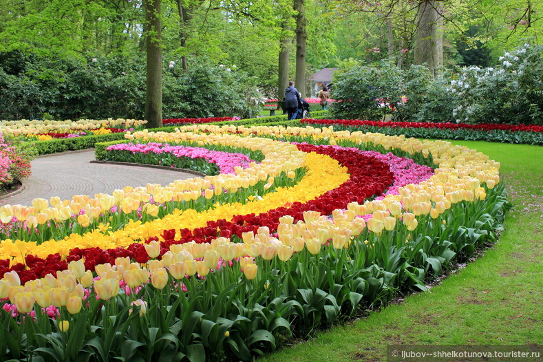 Keukenhof Flower Park - визитная карточка Нидерландов