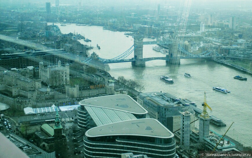   Небесный сад. Sky Garden.