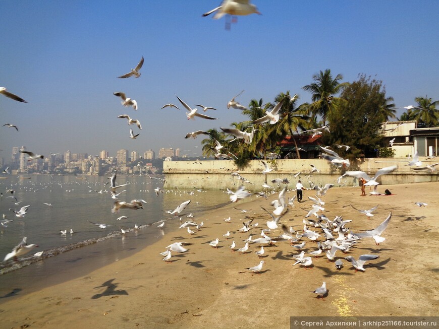 По Мумбаи — от морской набережной Марина-Драйв к мечети Хаджи Али.