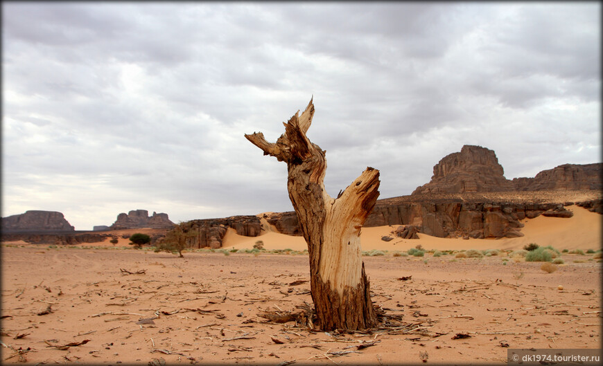 Алжирская Сахара, день второй — по долинам и по взгорьям