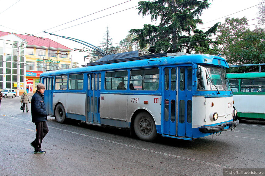 Зимний Крым: троллейбусы, тропы и коты