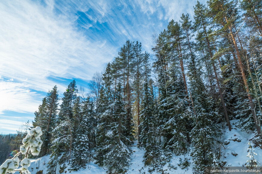 Карелия. В гости к хаскам