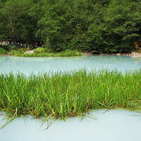 Недалеко от памятника - сероводородное озеро. Вода в нем голубая и неподвижная.