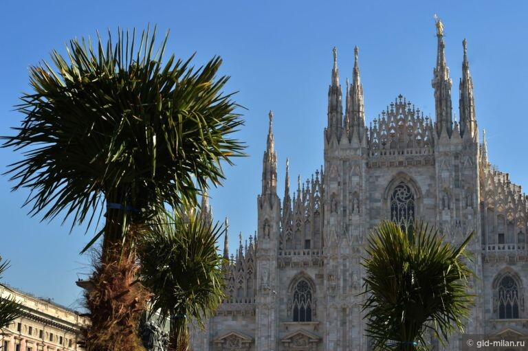 Миланский собор обрастает пальмами