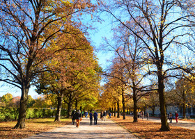 Осенний день в Мюнхене
