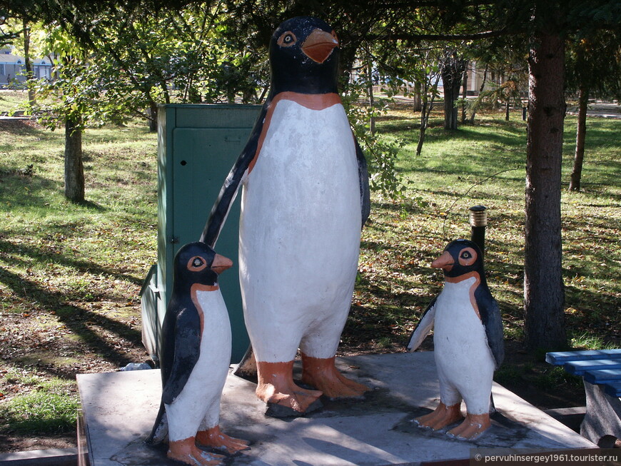 группа пингвинов в бело-оранжево-черной цветовой гамме (первая версия)