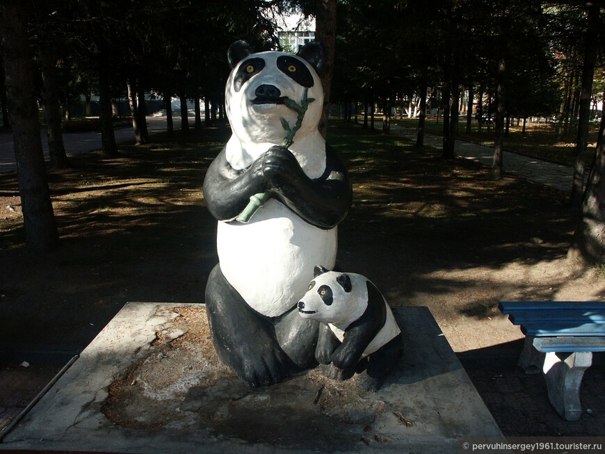панда, грызущая бамбук в компании с медвежонком - бультерьером