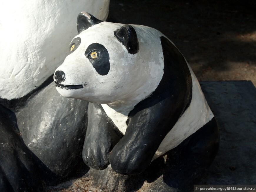 панда, грызущая бамбук в компании с медвежонком - бультерьером (фрагмент)