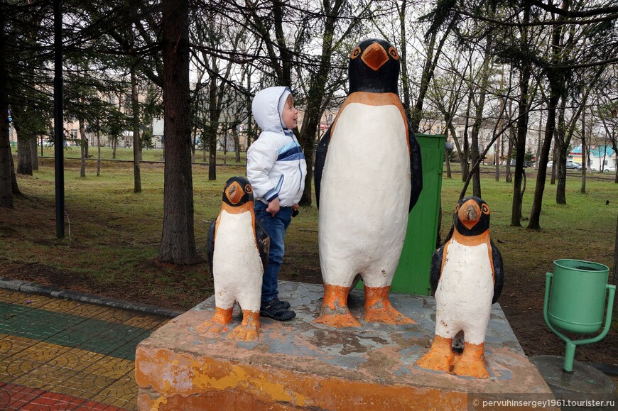 группа пингвинов в бело-оранжево-черной цветовой гамме (вторая версия)