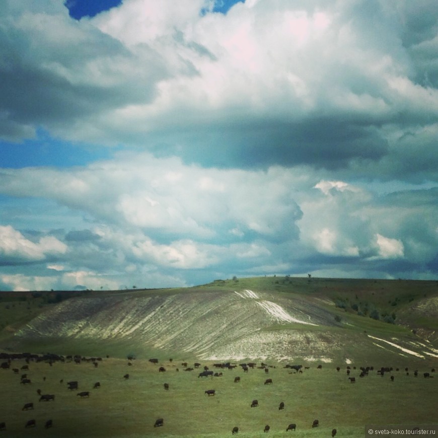 Коса Долгая. В Должанскую на машине из Санкт-Петербурга