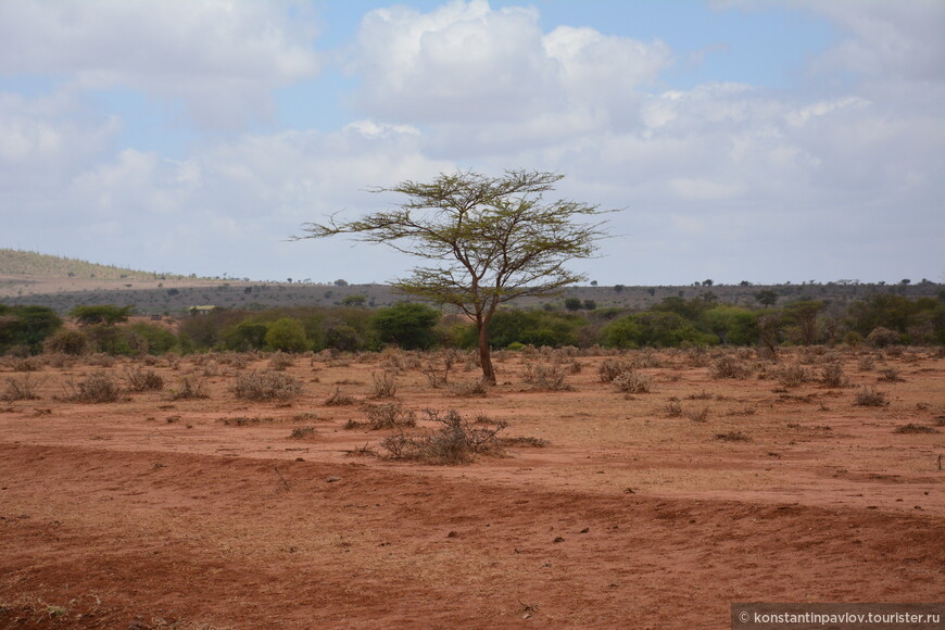  Кения. Люди и животные Амбосели 