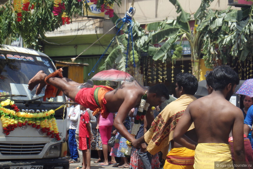 Шри-Ланка — пятая часть путешествия: праздник полнолуния