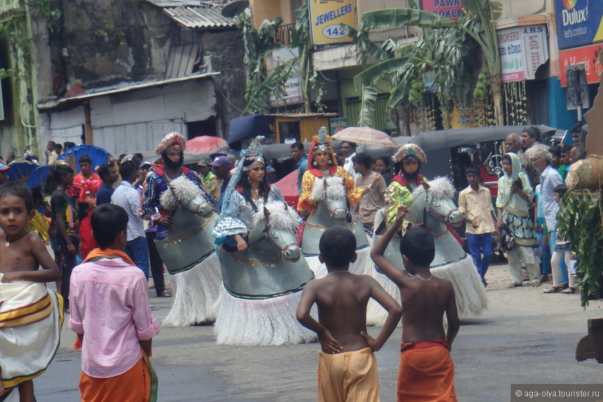 Шри-Ланка — пятая часть путешествия: праздник полнолуния
