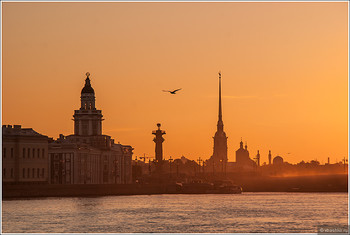 Петербург вошел в список лучших турнаправлений мира 