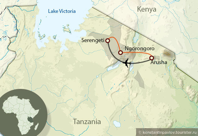 Танзания. Серенгети: продолжаем наблюдать