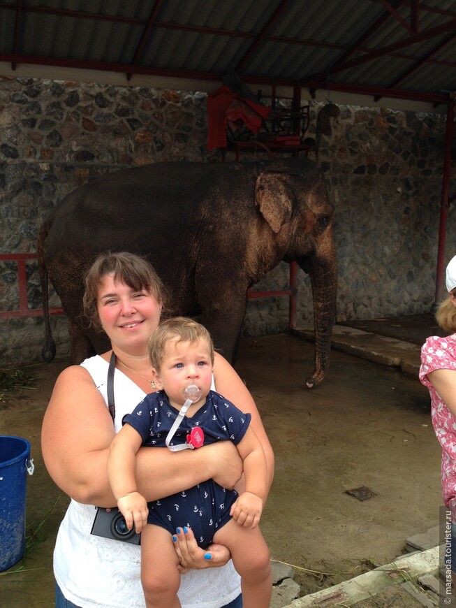 Как мы в гости к слоникам ходили и попали на буддистский праздник