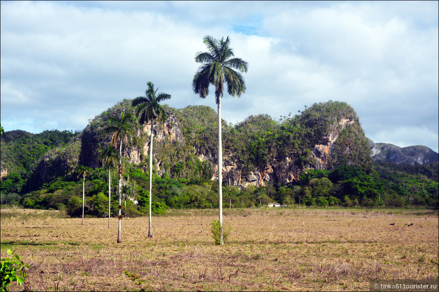 Куба сельская. Пасторали Виньялеса