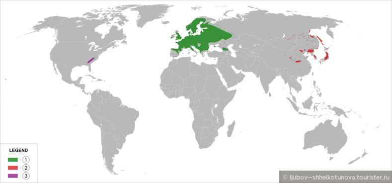 Ареал произрастания ландыша на планете.