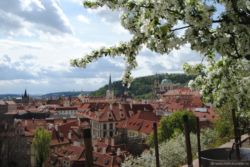 Прага большими глазами  