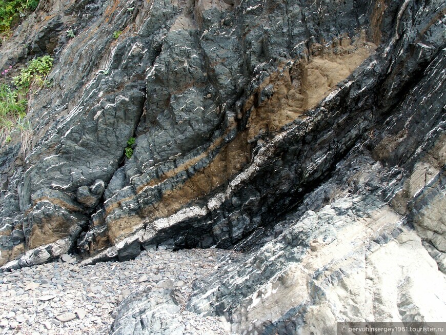 Слои с окаменелостями в береговой черте вблизи мыса Острый