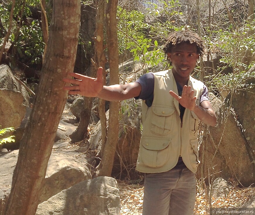 Мадагаскар. Обилие лемуров в резервации Anja Reserve