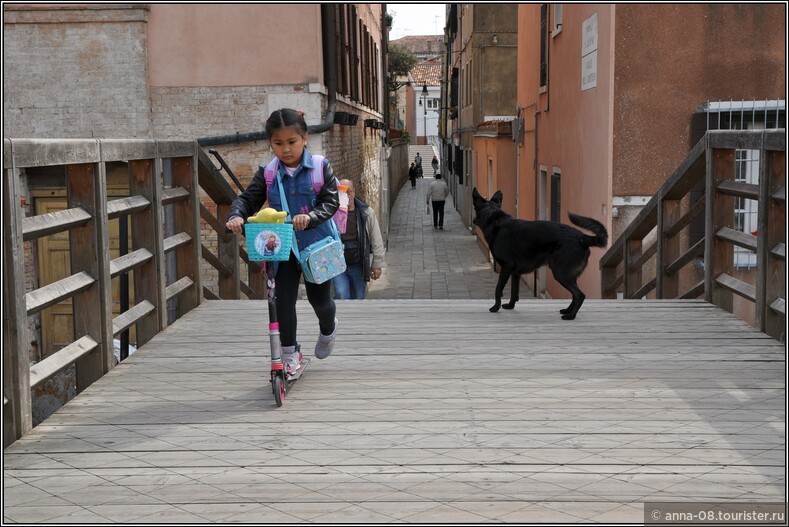 Венеция. За девочкой идет немолодой хозяин собаки с мячиком. А собака очень игривая.