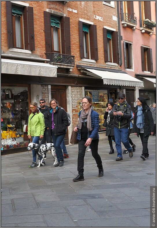 Венеция. Здесь собак не меньше, но в толпе сфотографировать очень сложно.