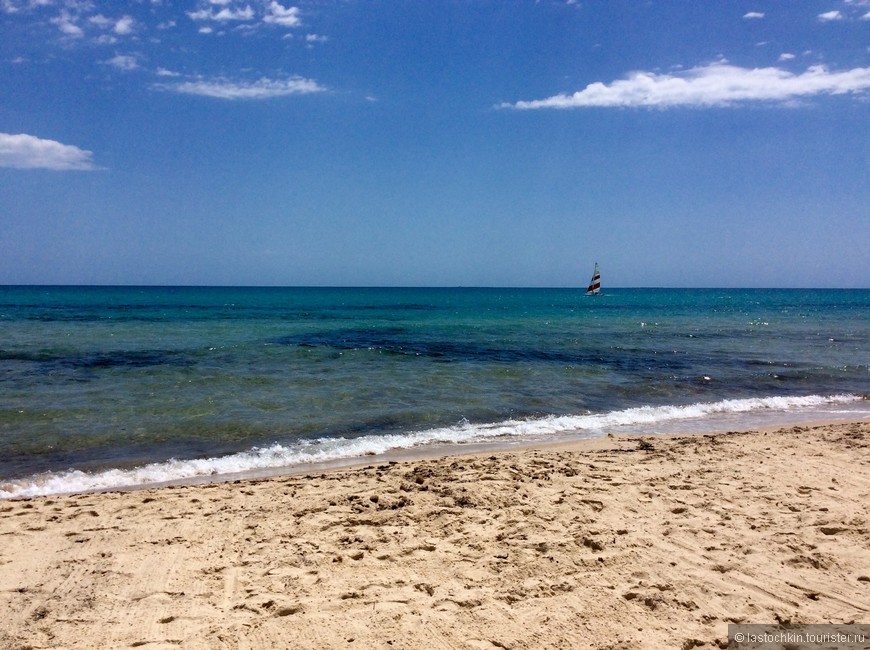Тунис на майские праздники — безлюдные пляжи и божьи коровки