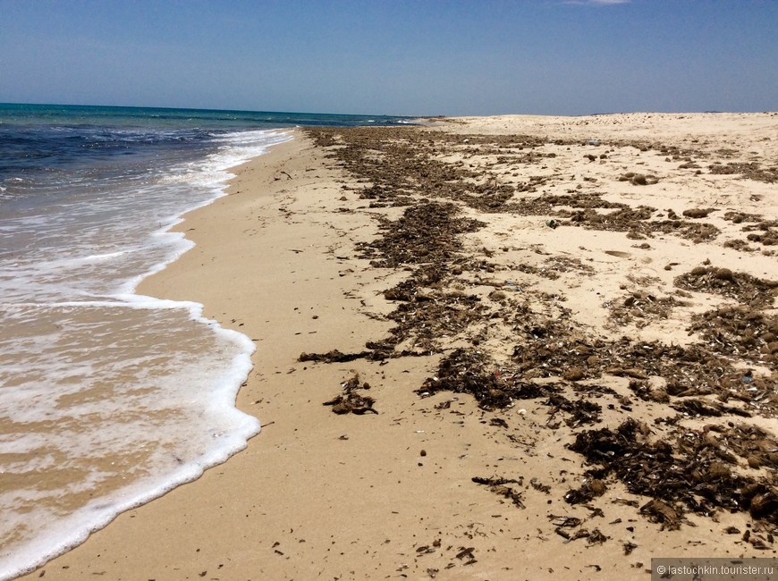 Тунис на майские праздники — безлюдные пляжи и божьи коровки