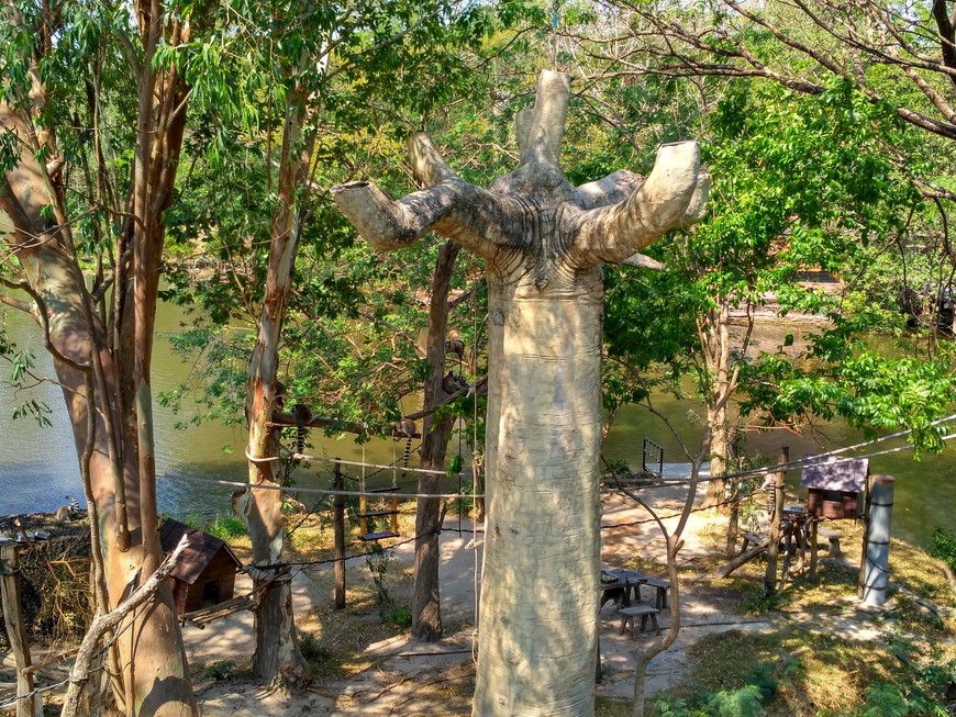 Паттайя. Зоопарк Кхао Кхео