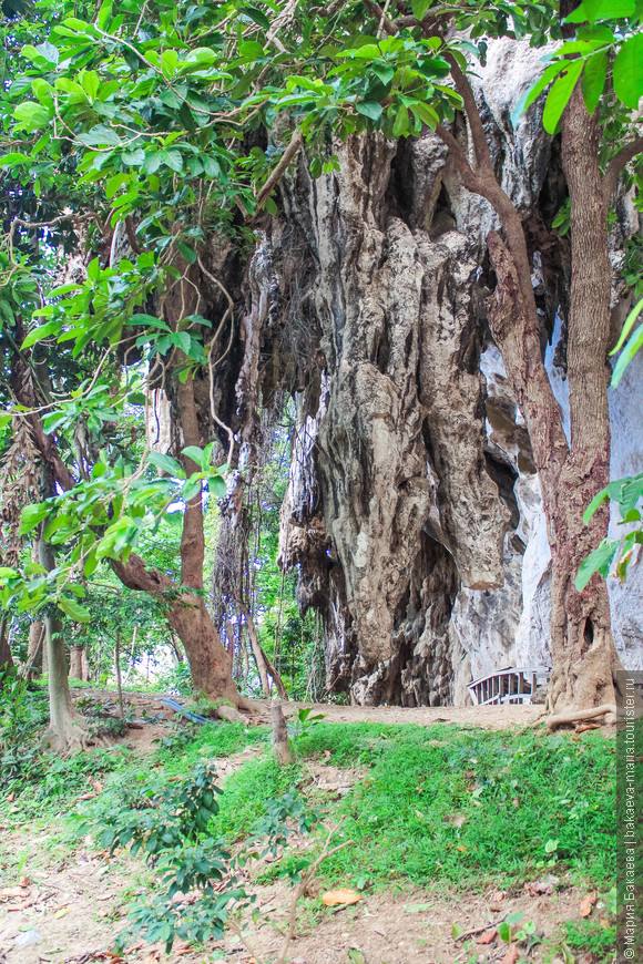 Пещера Diamond cave (Tham Phra Nang Noi) 