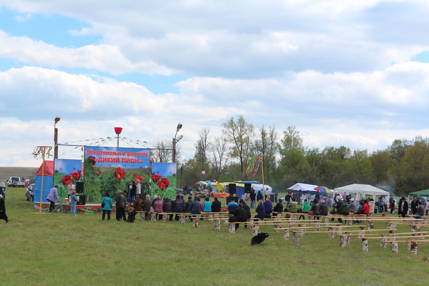 Фестиваль «Дикий пион» в Ульяновской области