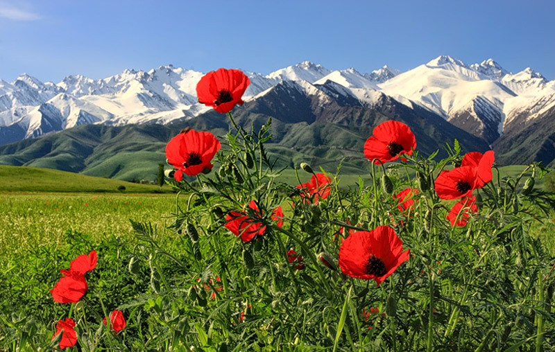 Природа Кыргызстан и люди