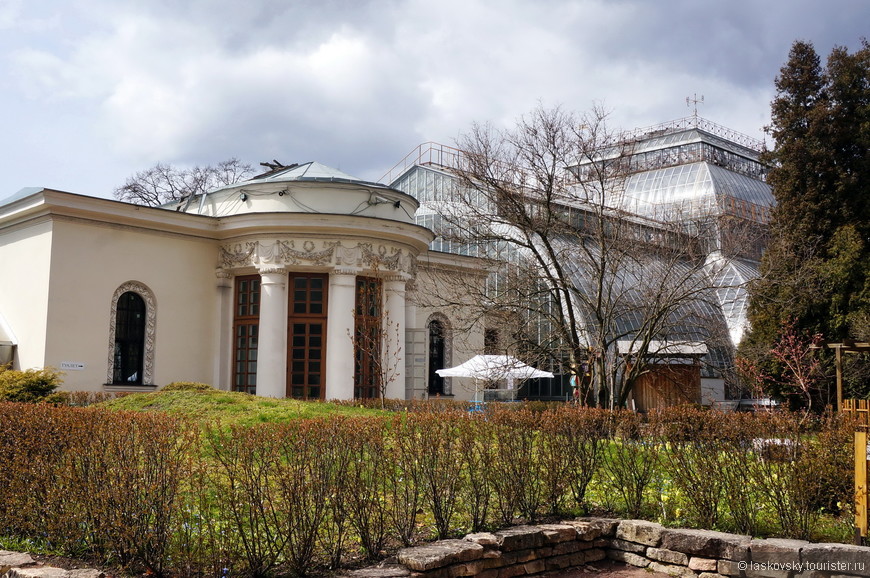 На прогулку в петербургский Ботанический сад. В ожидании Весны